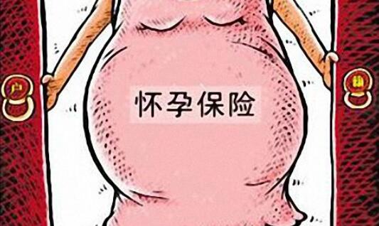 购买保险好处多!赴美生子msh孕中险介绍