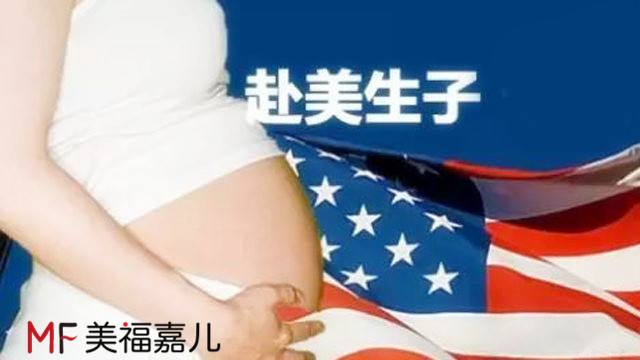 Ϊʲôӣʲôô