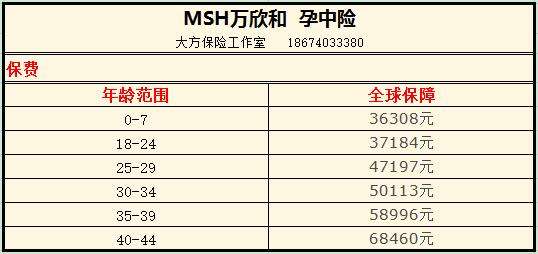赴美生子msh孕中险投保及理赔、退保介绍