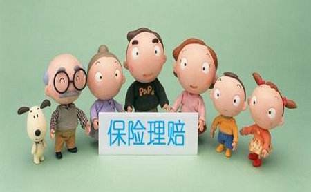 赴美生子msh孕中险投保及理赔、退保介绍