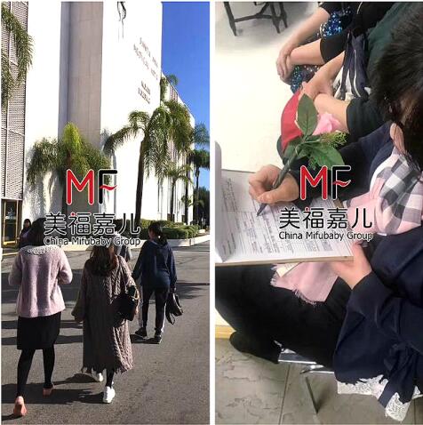赴美产子,在美国产检和在国内产检有什么区别?