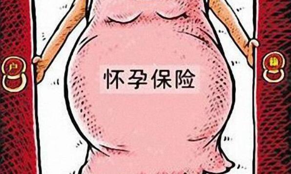 美国生孩子新政策:去美国之前应不应该预先购买保险?