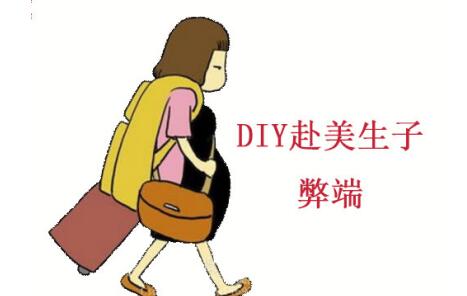 Ҹӻ࣬DIYĿ಻