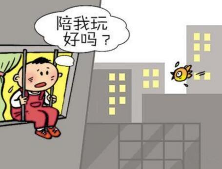 如果孕妈想带大宝赴美生子,那就必须注意这些事