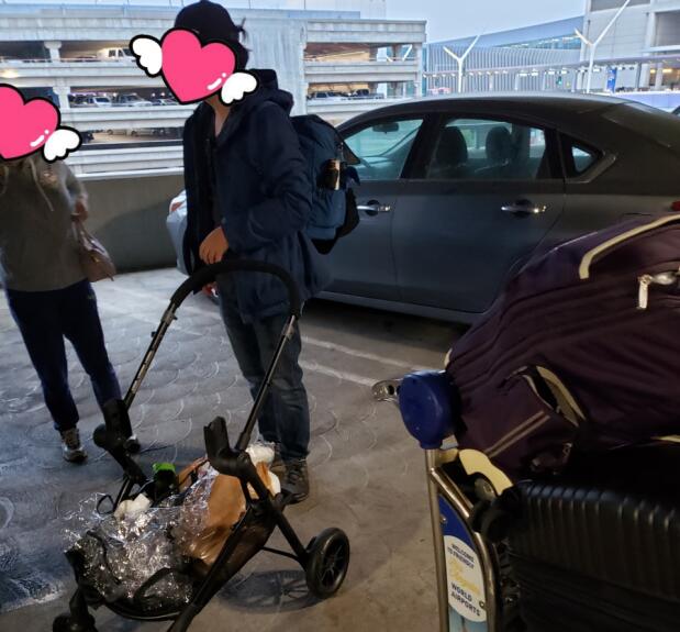 赴美生子入境违禁品一览,出发前别带这些东西