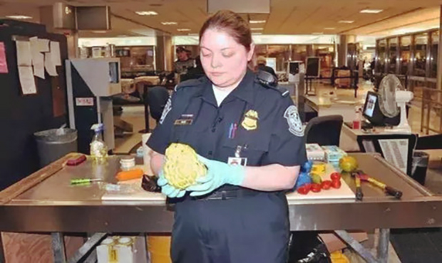 ����������Ҫ��Щɶ����
