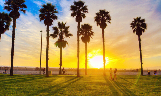 ���踰������ѡ������ԭ����ʲô
