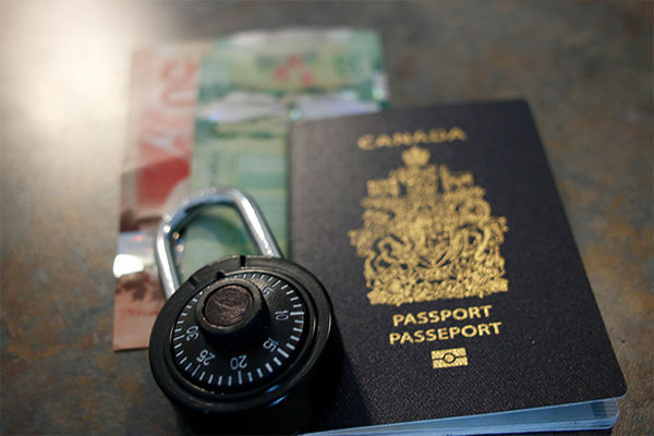 提高美国产子海关通过率的实用指南