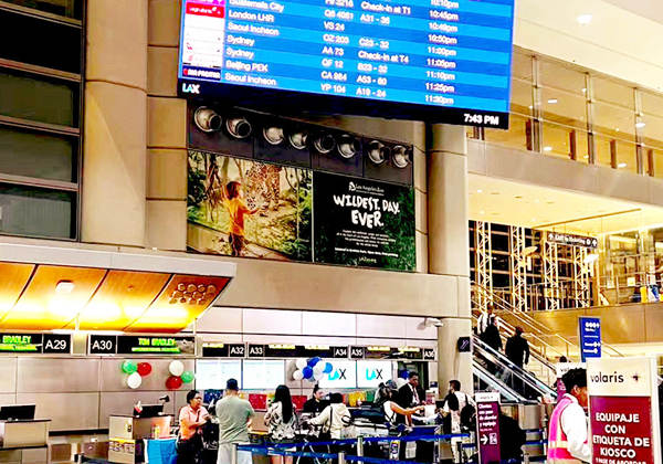 �������ӹ����ص���װ��缼��
