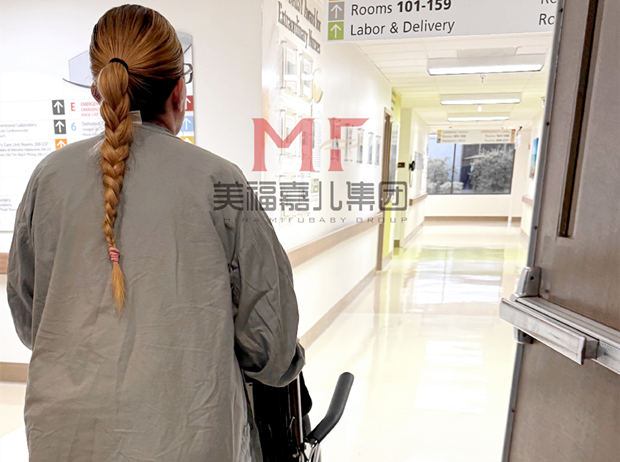 ȥ�����������Ƿ�ֵ�������ͥ�滮
