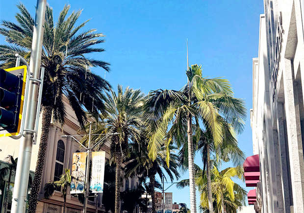 ��������������������ע������
