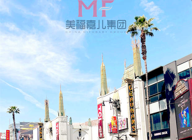 ����������������������ע��������ʲô
