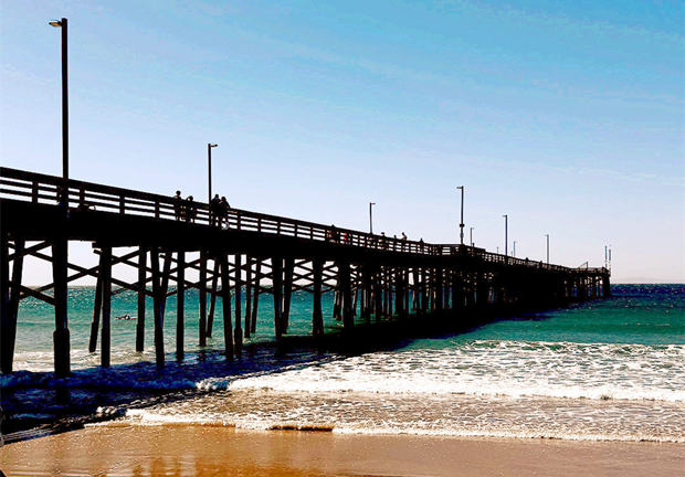 ��ĸ�ܷ��������������������̿�
