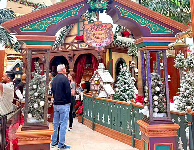 �����������ڲ��ɺ��ӵ���ʳҪ��
